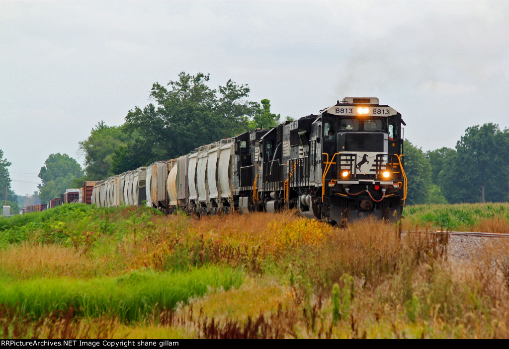 NS 8813 Rolls a freight Sb!